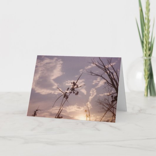 早い夕べの種 カード (正面)