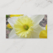 早い春のラッパスイセン 名刺 (裏面)