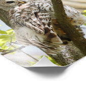 早い春の木の成長でバーレッド フォトプリント            (角)