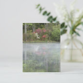 早い時期に池で再発するツツツジ ポストカード (スタンド正面)