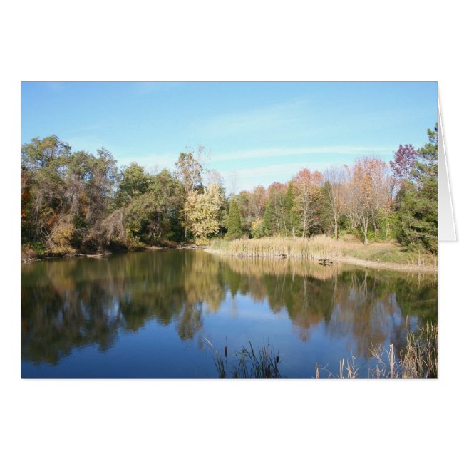 早い秋 (正面横)