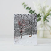 早い雪: コーギーの郵便はがき ポストカード (スタンド正面)