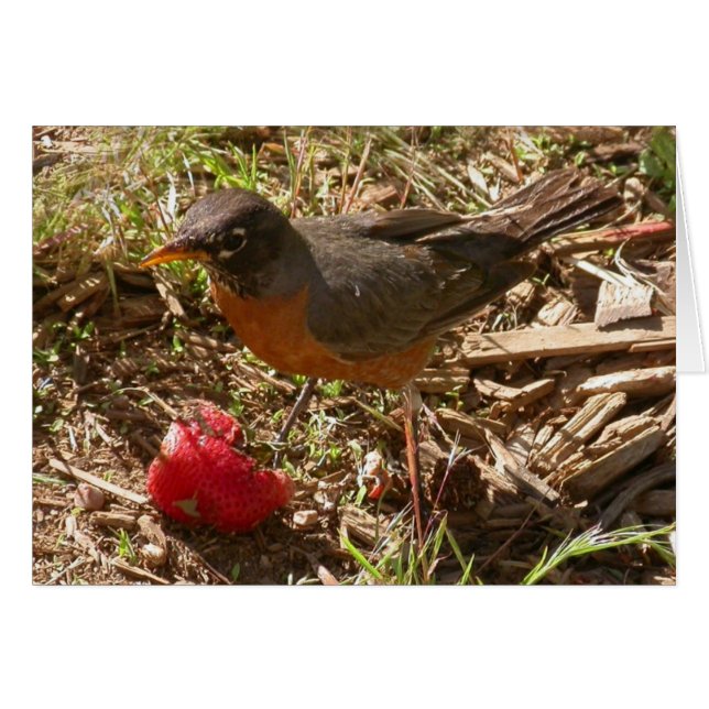 早い鳥は…得ます (正面横)