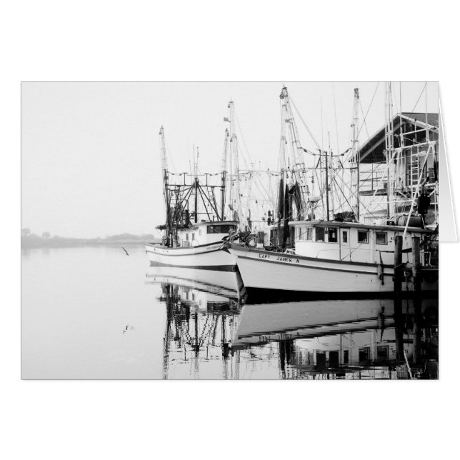 早いMorn (正面横)