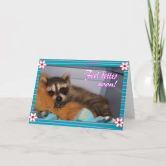 早くアライグマを元気にする カード