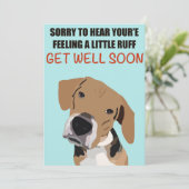 早くカードを取れ！ シーズンカード (スタンド正面)