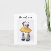 早くサンシャインブルのテリアを取得 カード (正面)