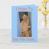 早く会えって… カード (黄色い花)