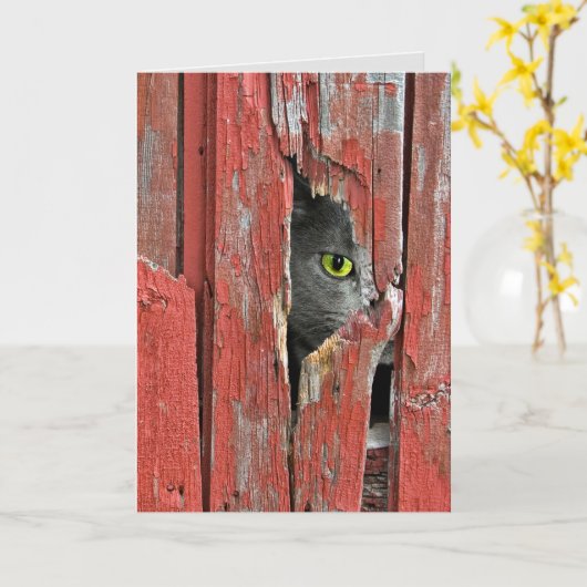 早く元気になる カード (黄色い花)