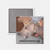 早く元気になれマグネット マグネット (正面/裏面)