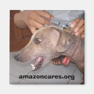 早く元気になれマグネット マグネット