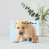 早く元気になれ ポストカード (スタンド正面)