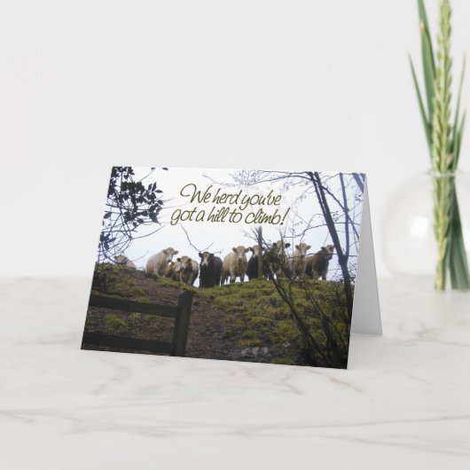 早く元気になれ。牛。 カード (正面)