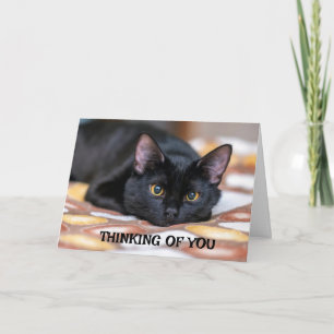 *早く元気** カード