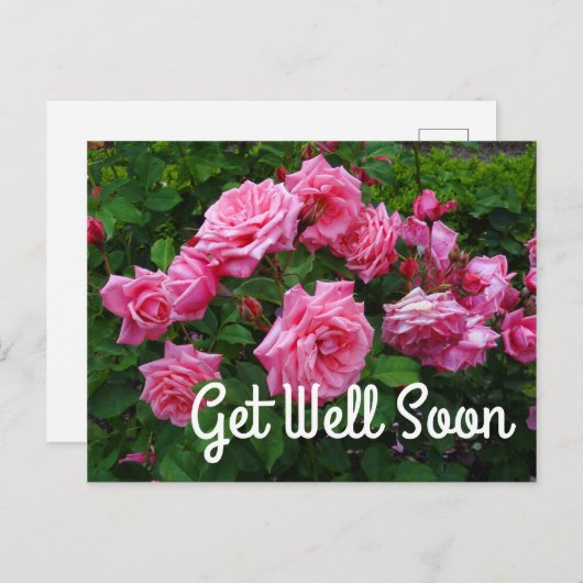 早く回復してねジーン・ベーナー・ローズ#2 ポストカード (正面/裏面)