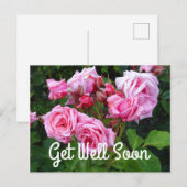 早く回復してねジーン・ベーナー・ローズ#3 ポストカード (正面/裏面)