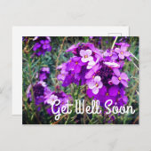 早く回復してね ウォルフラワー ボウルズ マーブル #1 ポストカード (正面/裏面)