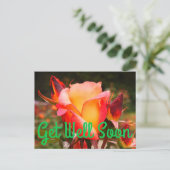 早く回復してね レインボーソーベット ローズ #1 ポストカード (スタンド正面)