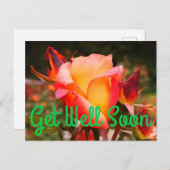 早く回復してね レインボーソーベット ローズ #1 ポストカード (正面/裏面)