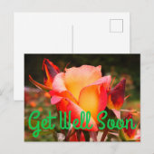 早く回復してね レインボーソーベ ローズ #1 ポストカード (正面/裏面)