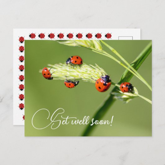 早く回復してね 小さなてんとう虫たちと一緒に ポストカード (正面/裏面)