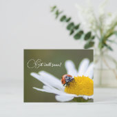 早く回復してね 小さなてんとう虫たちと一緒に ポストカード (スタンド正面)