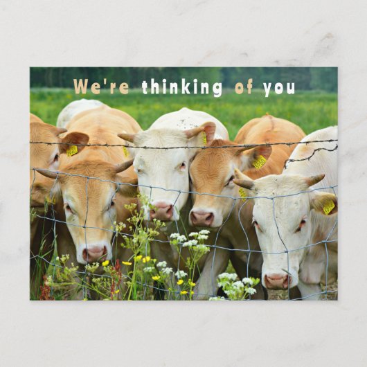 早く回復してね 牧場の花 ポストカード (正面)