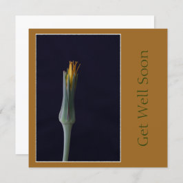 早く回復してね 花のゴールデンブラウン調 カード