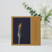 早く回復してね 花の黄金の茶色のトーン カード (スタンド正面)