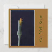 早く回復してね 花の黄金の茶色のトーン カード (正面)