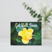 早く回復して ウォーキング・オン・サンシャイン ローズ #1 ポストカード (スタンド正面)