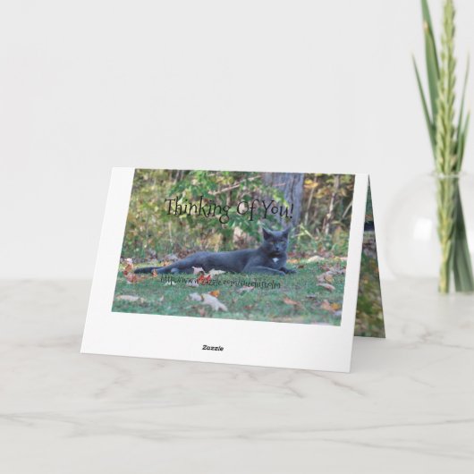 早く回復する カード (裏面)