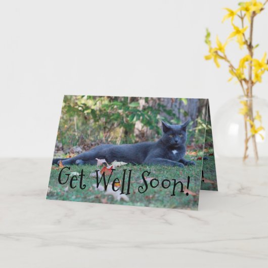 早く回復する カード (黄色い花)