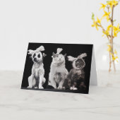 早く回復する カード (黄色い花)