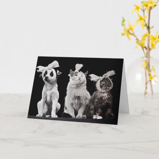 早く回復する カード (黄色い花)