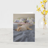 早く回復する カード (黄色い花)