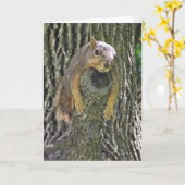 早く感じよく、リスおもしろいル カード (黄色い花)