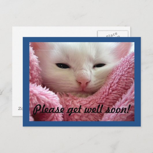 早く治ってね子猫 ポストカード (正面/裏面)