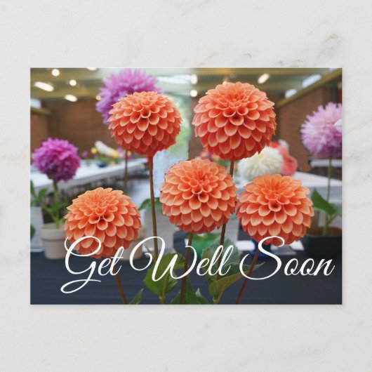 早く治ってね ダリア・ローズ・トスカーノ #1 ポストカード (正面)