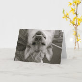 早く治る カード (黄色い花)