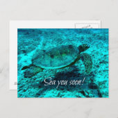 早く海に行け!タートルポストカード ポストカード (正面/裏面)