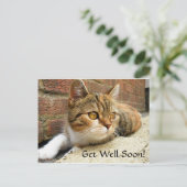 早く猫カードを手に入れる ポストカード (スタンド正面)