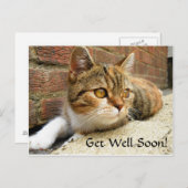 早く猫カードを手に入れる ポストカード (正面/裏面)