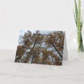 早く良くなる カード (正面)