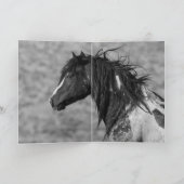 早季江のポートレートワイルドホースグリーティングカード カード (内部)