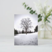 早春の雪景色の風景の中の木 ポストカード (スタンド正面)
