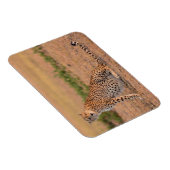 早朝にチーズを休める マグネット (右側)