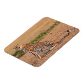 早朝にチーズを休める マグネット (左側)