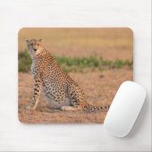 早朝に休息するチーター マウスパッド (マウス)