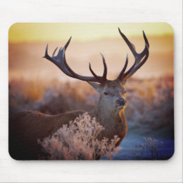 早朝のアカシカ、マウスパッド マウスパッド